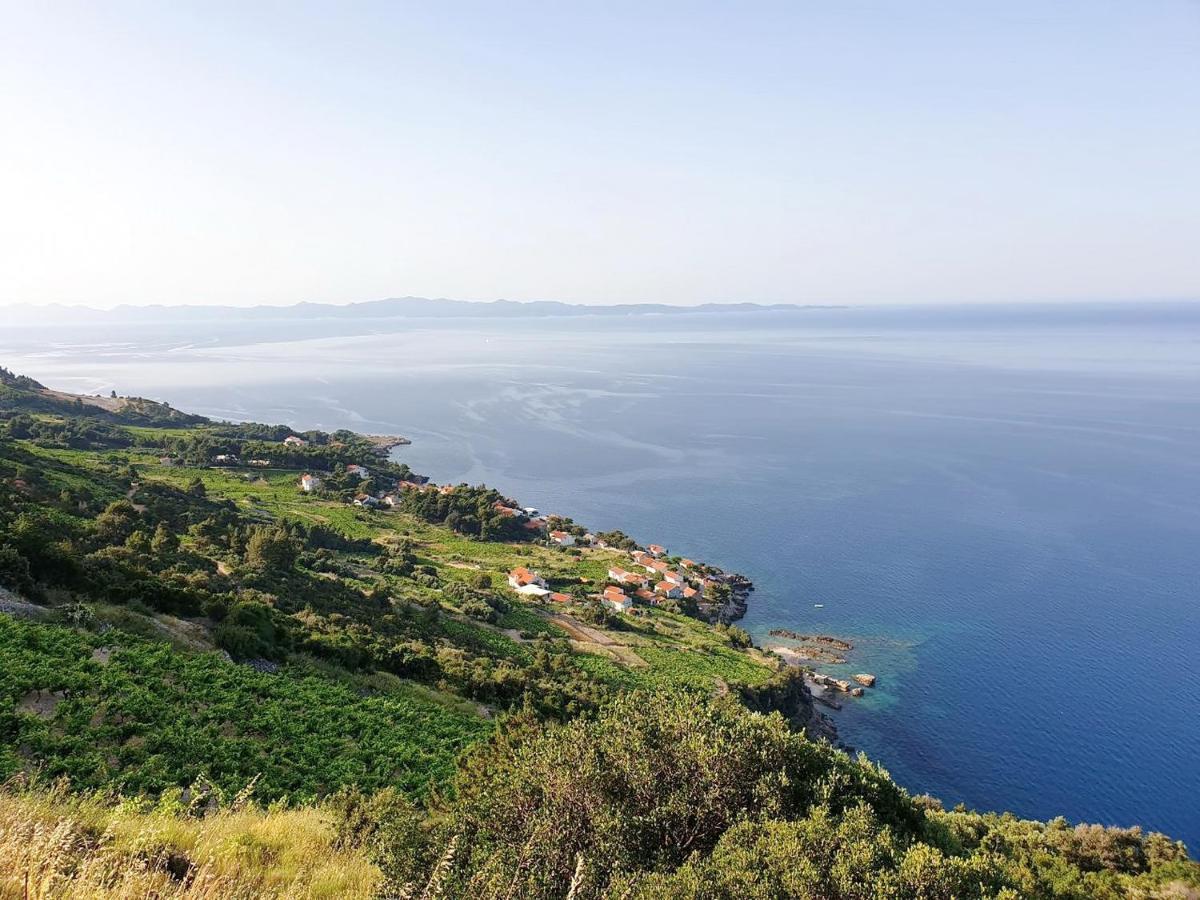Apartments Villa Bella Vista Gornji Dingač المظهر الخارجي الصورة